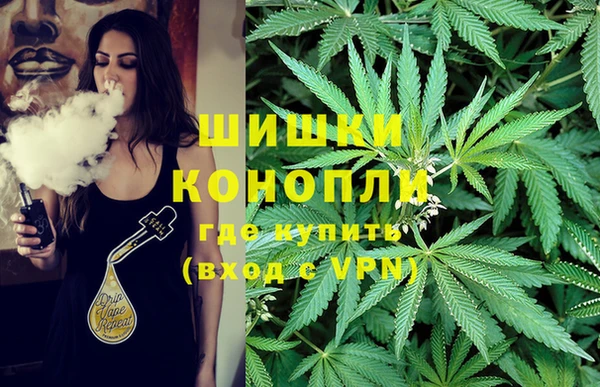 гидропоника Заволжск