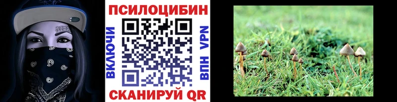 закладка  blacksprut сайт  Псилоцибиновые грибы мицелий  Лебедянь 